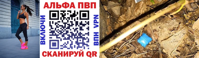 A PVP СК КРИС Дно