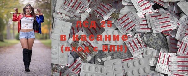 индика Алексеевка