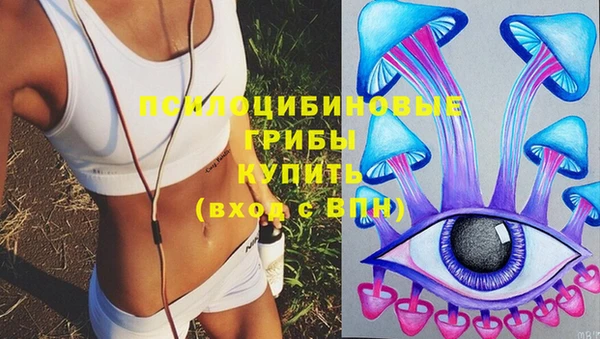 молекула духа Алзамай
