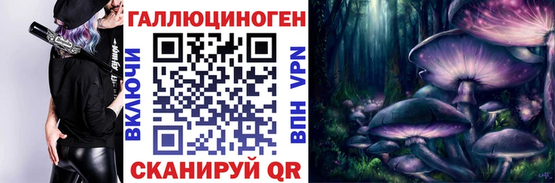 darknet наркотические препараты Дно Псилоцибиновые грибы Cubensis